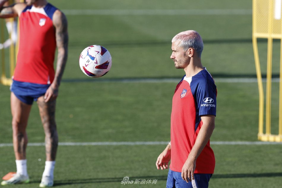 是否尊重个 是否尊重个